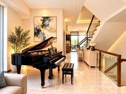 Holland Link (D10), Terrace #635575781
